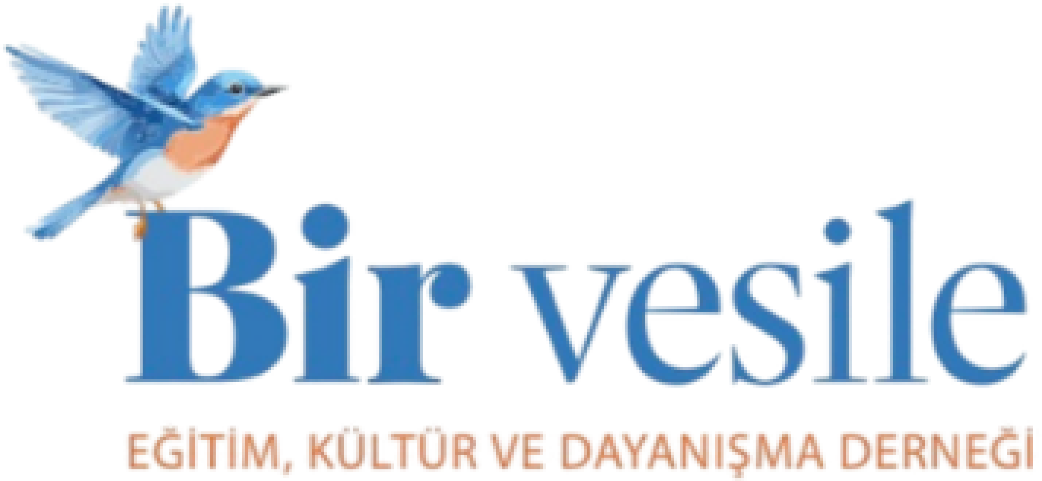 Bir Vesile Derneği